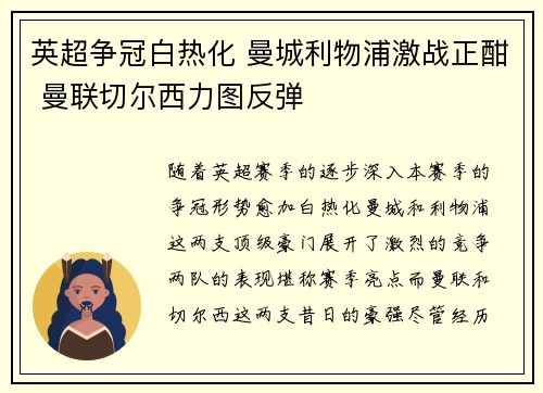 英超争冠白热化 曼城利物浦激战正酣 曼联切尔西力图反弹 英超争冠白热化 曼城利物浦激战正酣 曼联切尔西力图反弹
